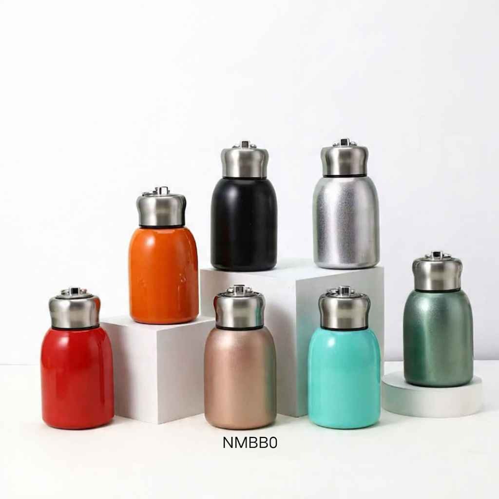 Mini Thermal Mug Water Bottle Leak Proof Vacuum Flasks Stainless Steel Bottle 300 ml Stainless Steel Flask (Pack of 1, Multicolor)